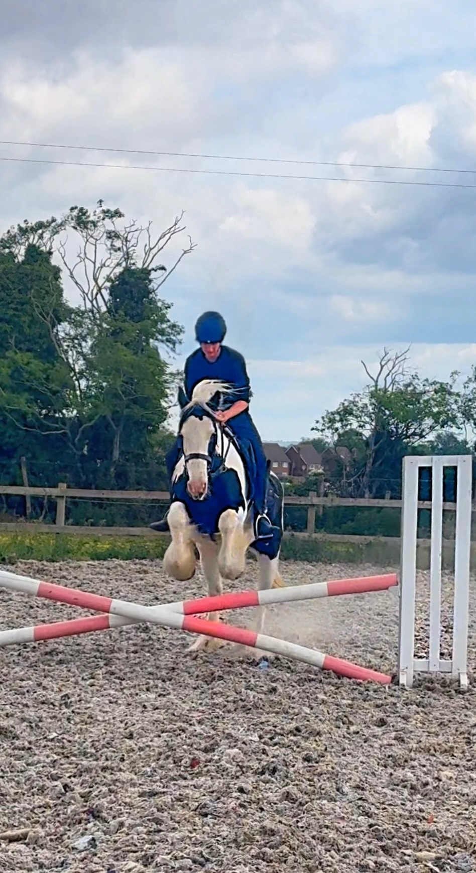 All Rounders - "DREAM" Piebald Mare All Rounder in 