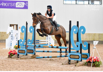 "Conny" Bay Mare All Rounder