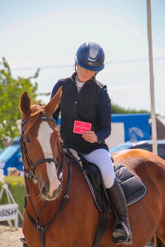 "Janey" Chestnut Mare All Rounder