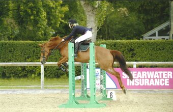"Bonnie" Chestnut Mare All Rounder