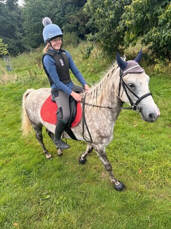 "LIGHTNING" Grey Gelding Pony Club Pony