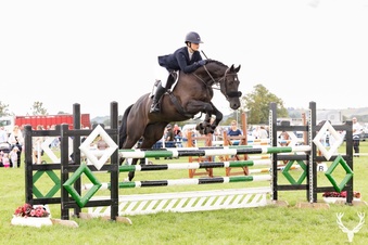 "Special K" Black Gelding Dressage Horse
