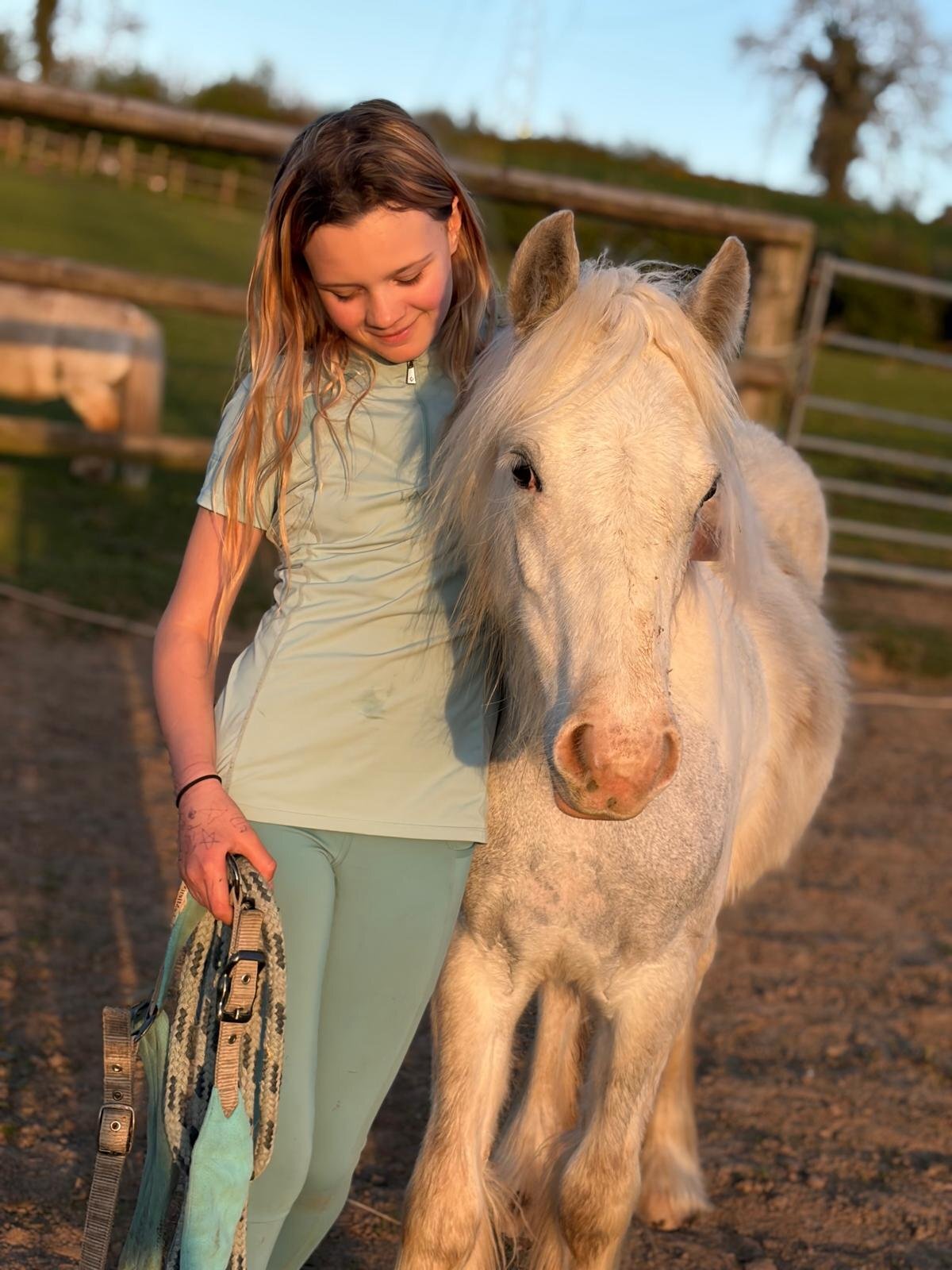 "Blue Willow" Blue & White Filly Youngstock / Foal - Youngstock and Foals in 