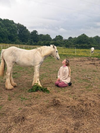 "Blue Willow" Blue & White Filly Youngstock / Foal