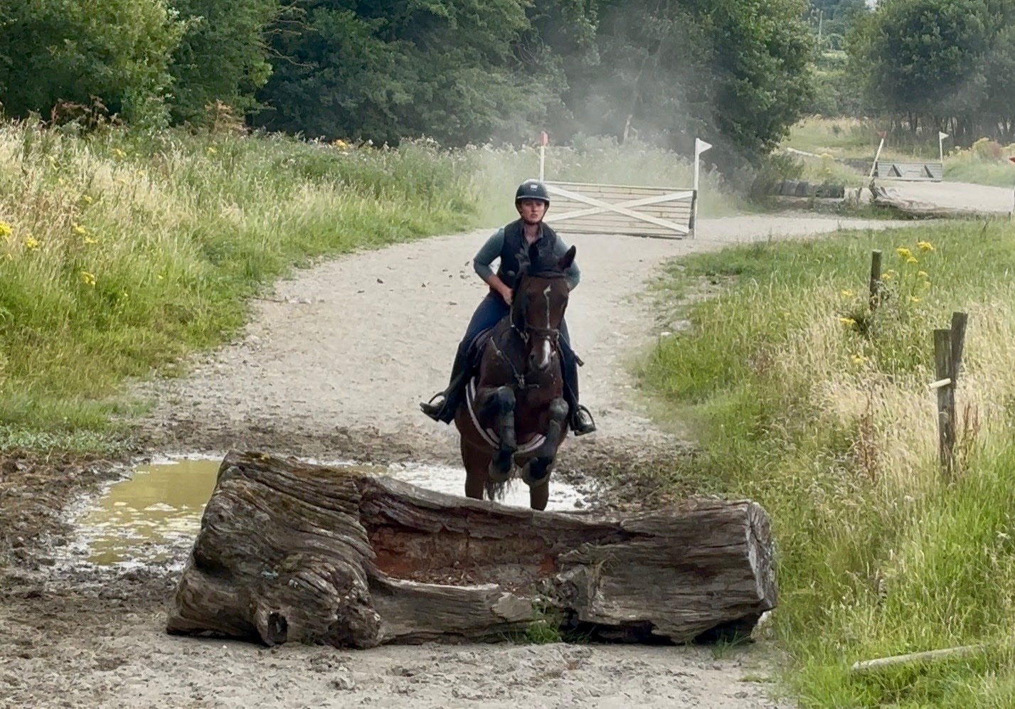 All Rounders  - "Lusmagh Chrisy" Bay Mare All Rounder
