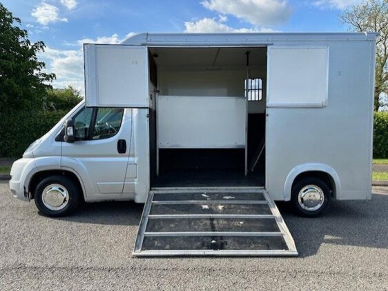 Ducato Fiat Horsebox