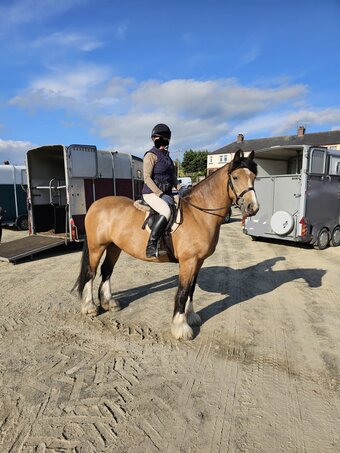 "Tilly " Dun Mare All Rounder