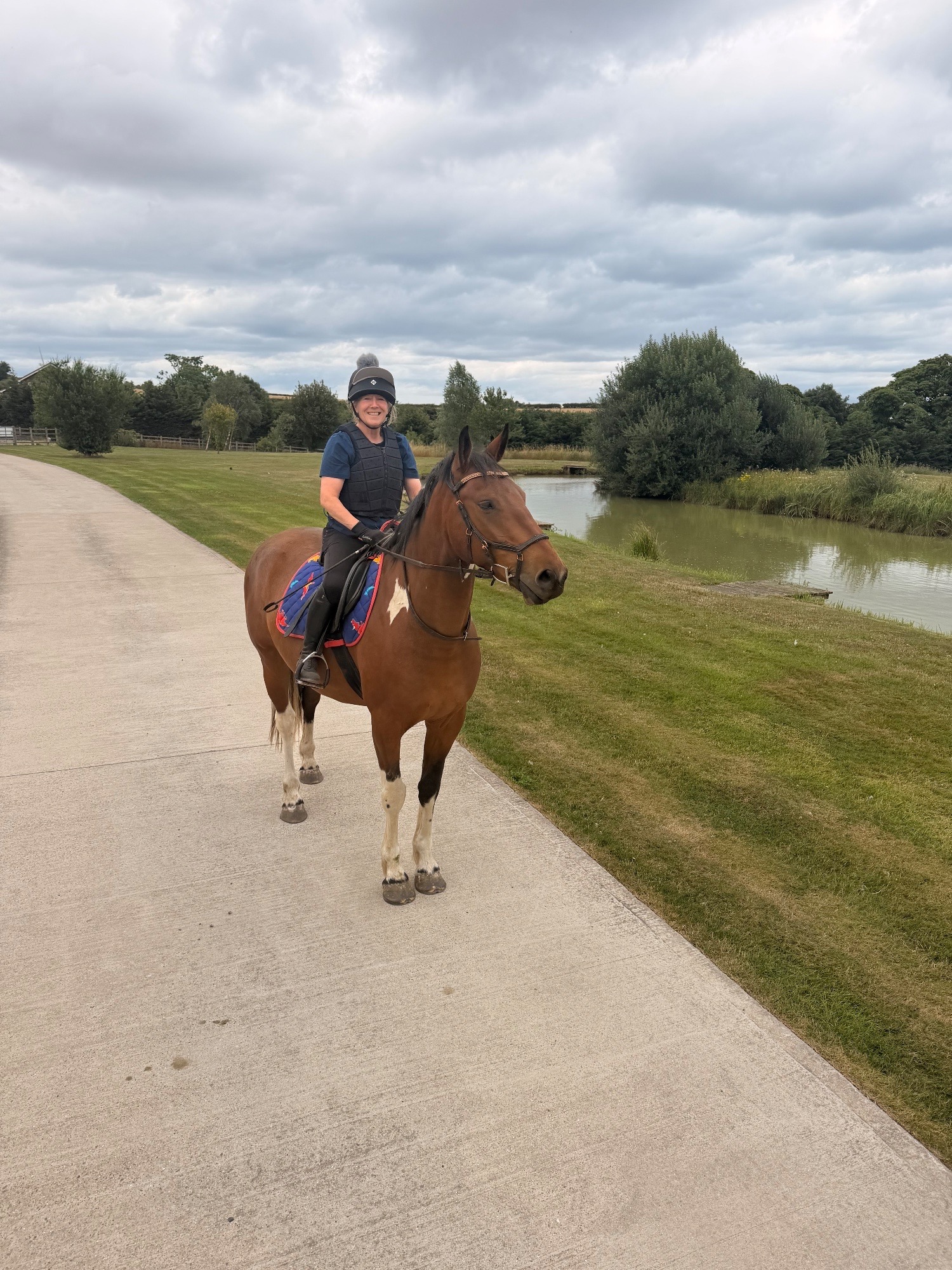 "Dino Star" Tri-Coloured Gelding All Rounder 