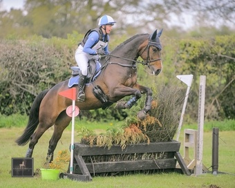 "" Mare All Rounder
