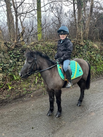 "Sky" Black Mare Lead Rein/First Ridden Pony