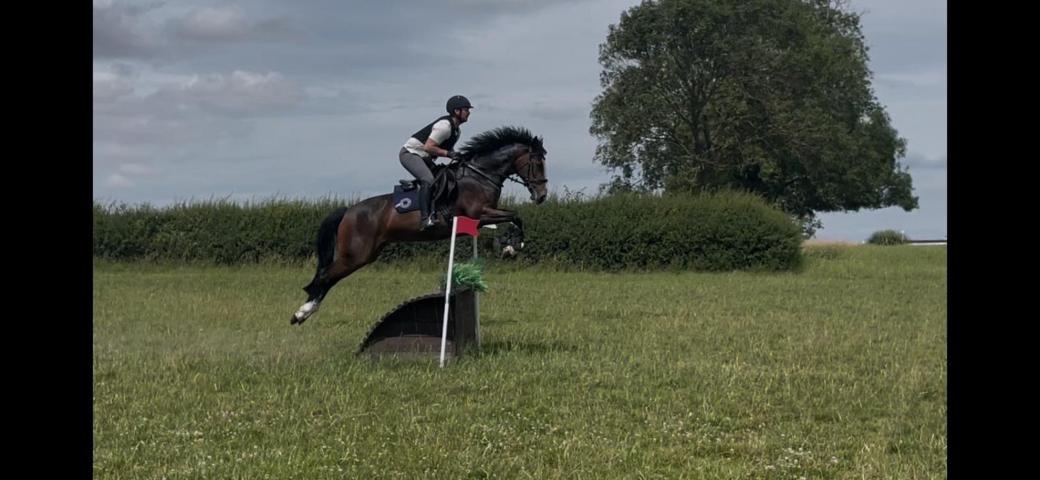 All Rounders  - "Smartie " Bay Mare All Rounder