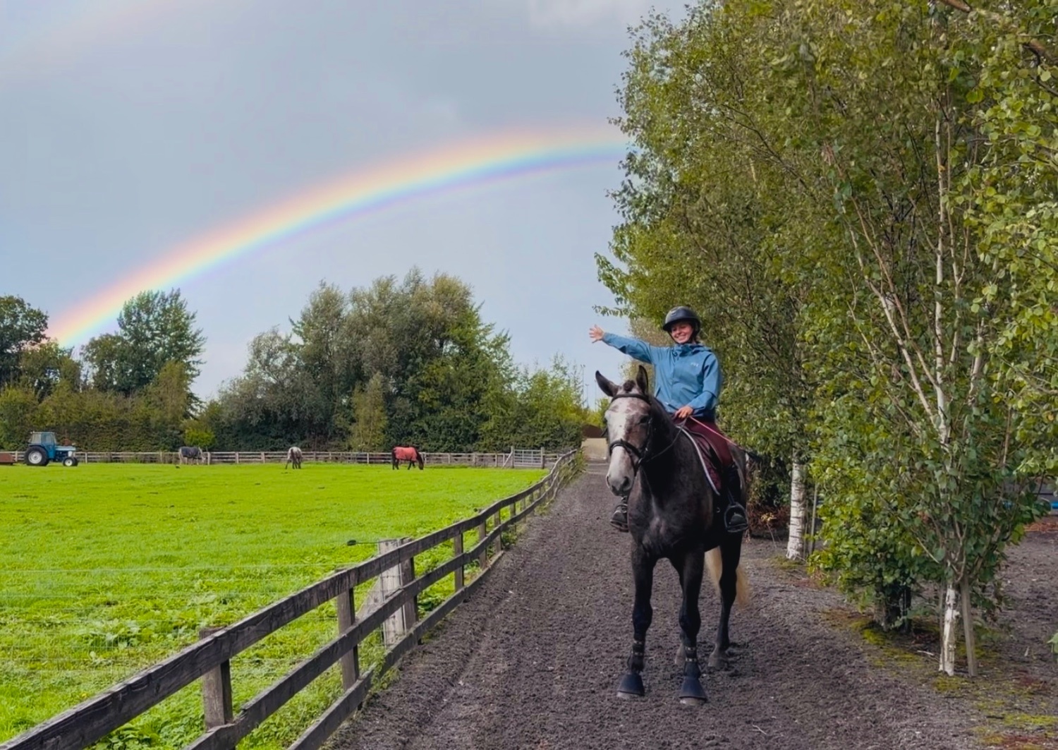 "Duke: rare find! versatile, talented, ultra quiet and honest dreamhorse " Roan Gelding All Rounder - All Rounders