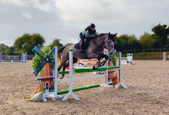"Duke: rare find! versatile, talented, ultra quiet and honest dreamhorse " Roan Gelding All Rounder