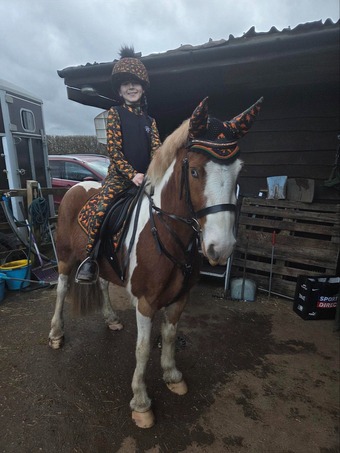 "Bandit" Skewbald Gelding Family Horse