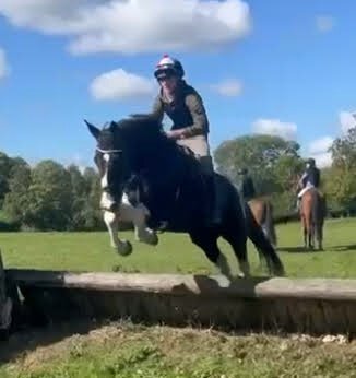 All Rounders  - "Albie"  Gelding All Rounder