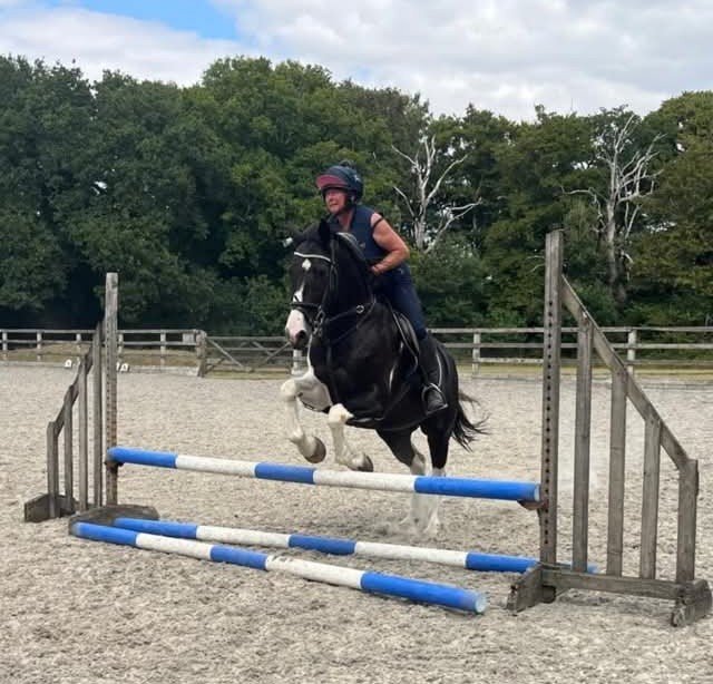"Albie"  Gelding All Rounder - All Rounders 