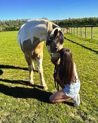 Loan wanted for loving, experienced 13 year old rider with stabling at 5* facility 