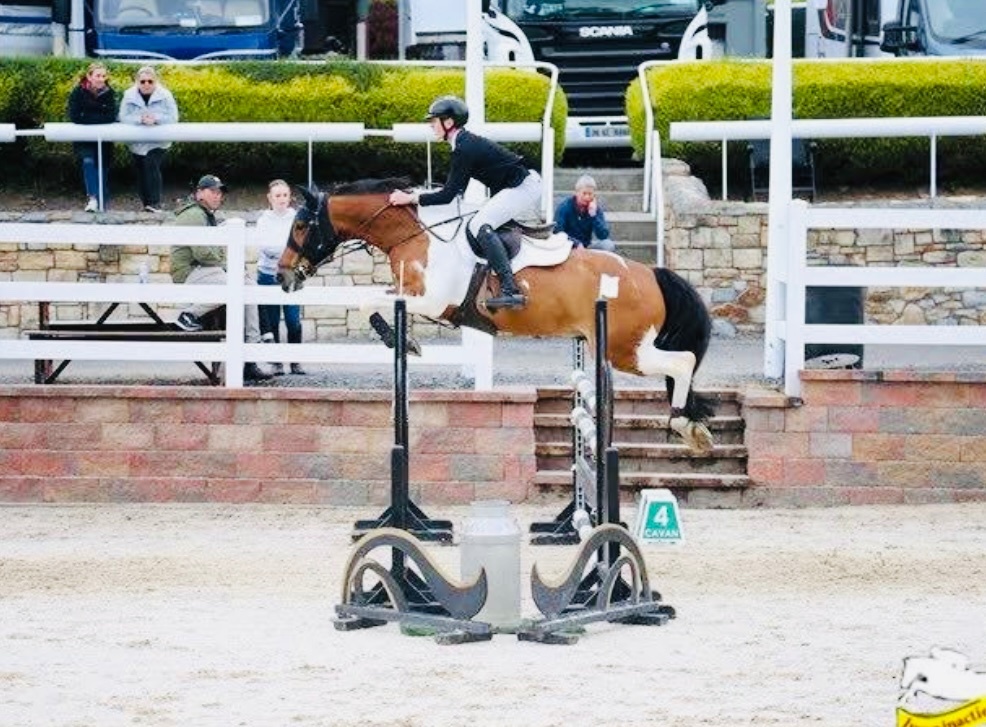 "Jumping ponies"  Gelding Show Jumper - Show Jumpers in 
