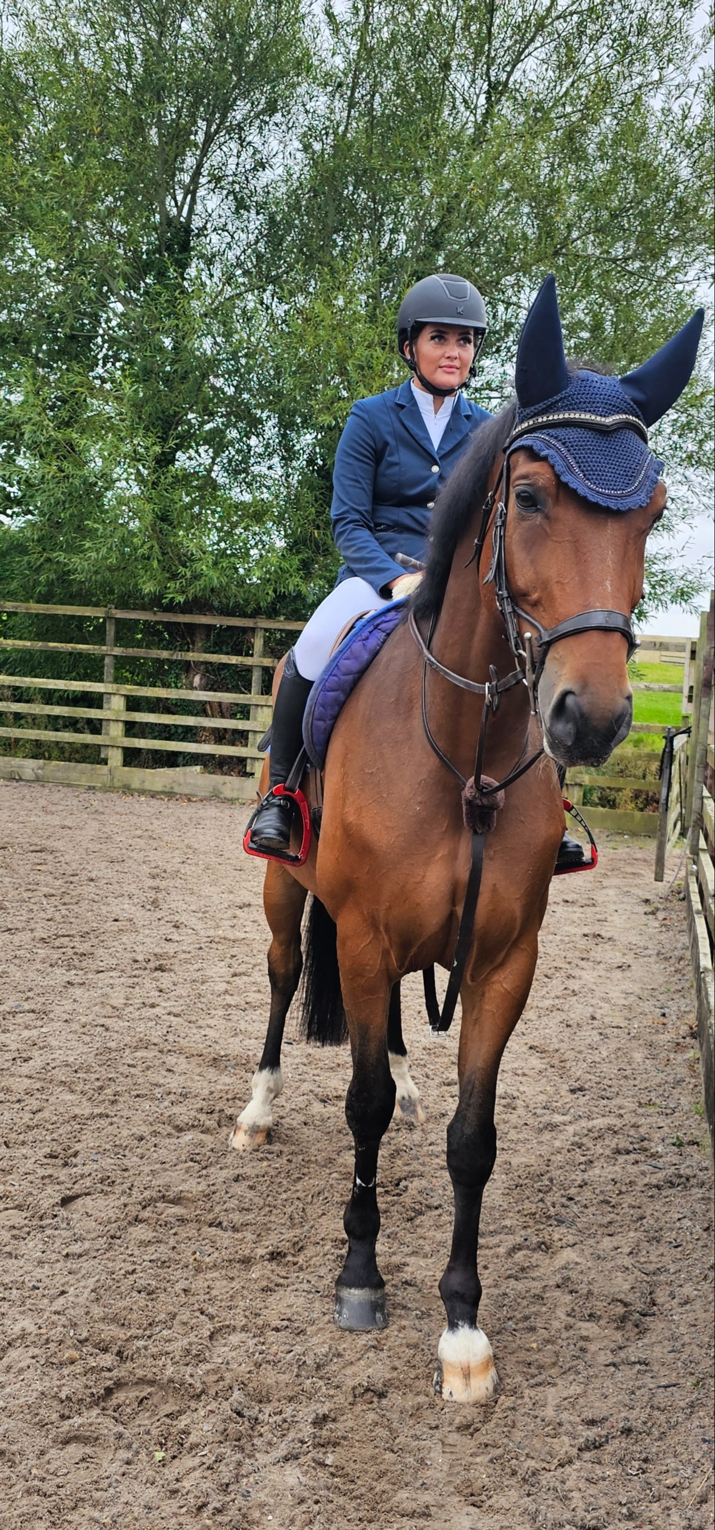 All Rounders  - "Polo (PAOLO VAN HET HOF TEN AART )" Bay Gelding All Rounder