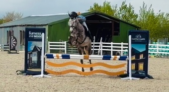 "Hero" Rose Grey Gelding All Rounder