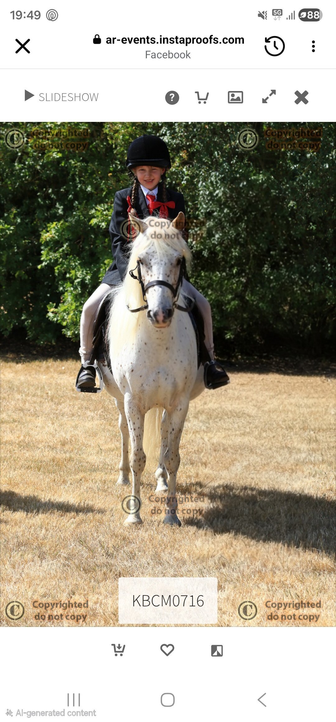 "Nattadon Celebration" Leopard Spot Gelding Pony Club Pony - Pony Club Ponies 