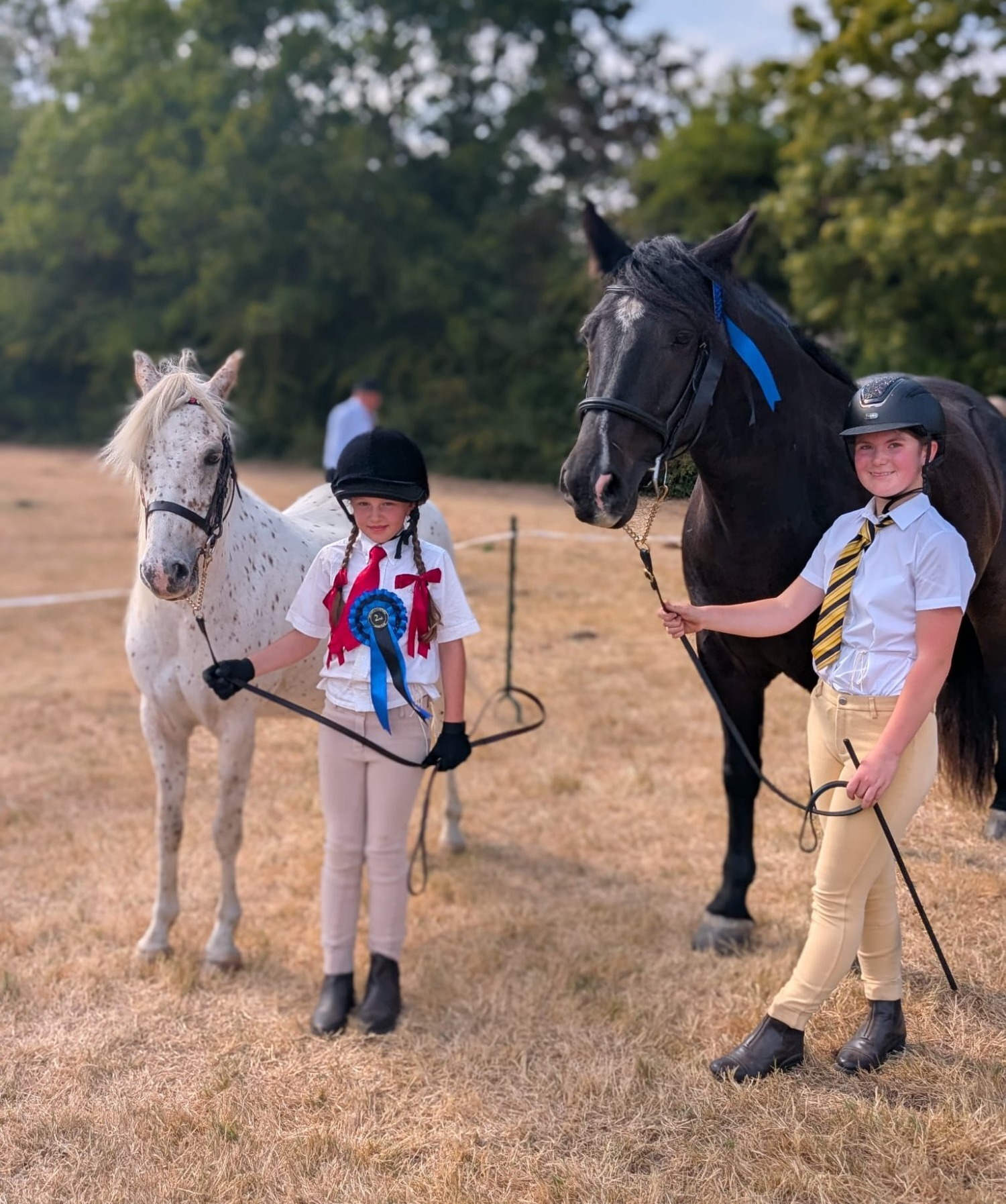 "Nattadon Celebration" Leopard Spot Gelding Pony Club Pony - Pony Club Ponies
