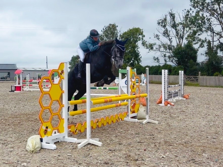 "Princess: gentle, easygoing, brave, sensible mother/daughter share" Iron Grey Mare All Rounder - All Rounders 