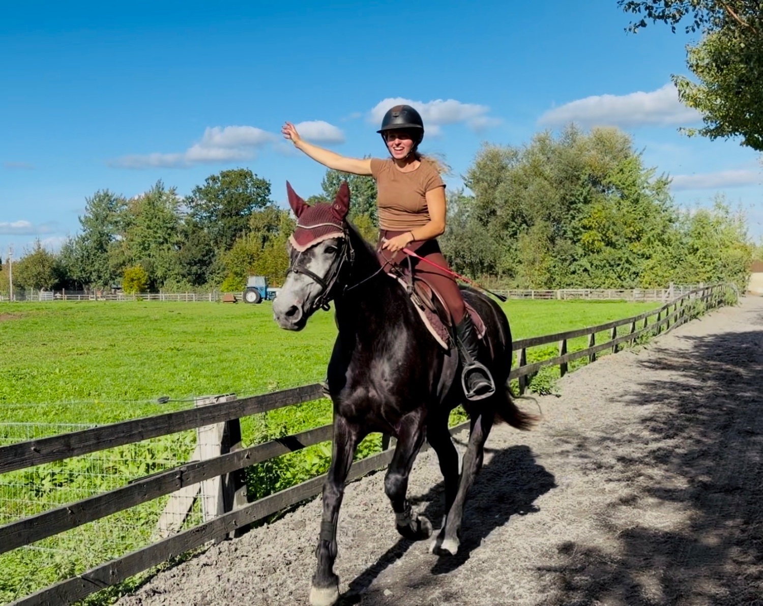 "Princess: gentle, easygoing, brave, sensible mother/daughter share" Iron Grey Mare All Rounder - 