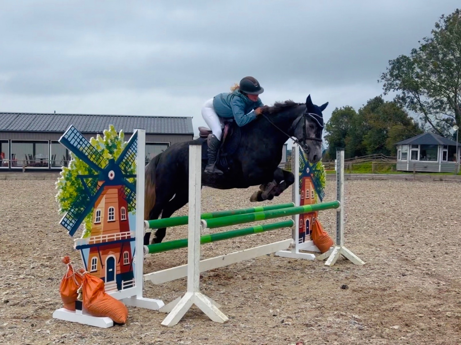 "Princess: gentle, easygoing, brave, sensible mother/daughter share" Iron Grey Mare All Rounder - All Rounders