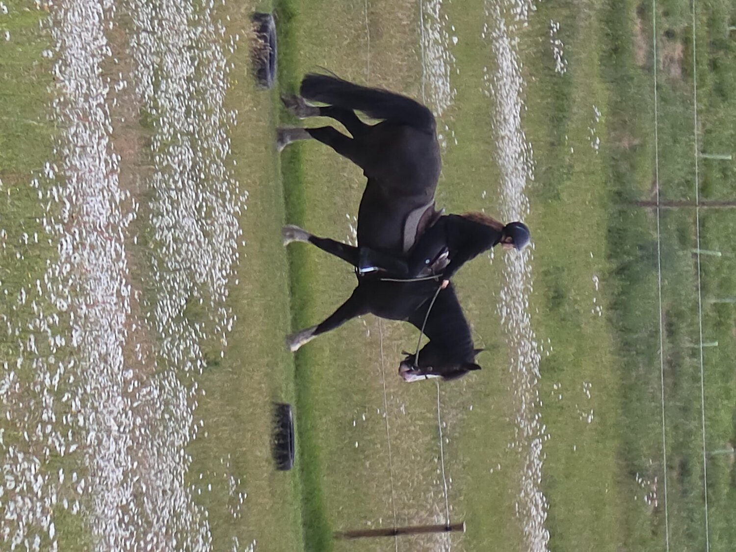  {TYPE}
