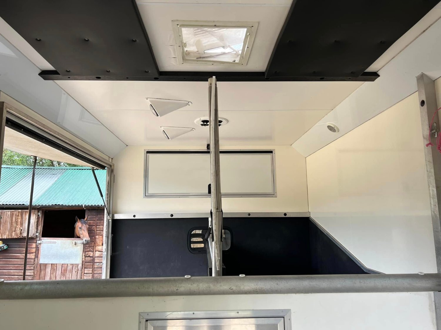 Horseboxes Up to 3.5 Tonnes - Alexanders  Fiat Horsebox in 