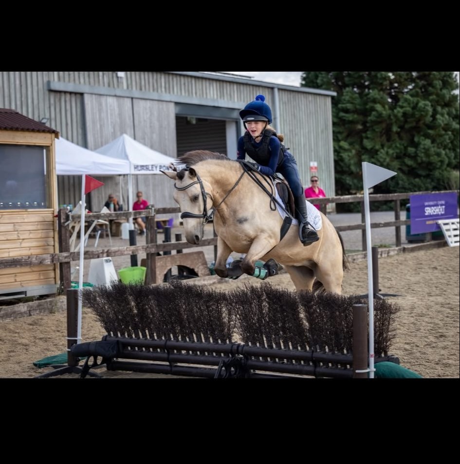 "Dun Dancing" Dun Gelding All Rounder - 