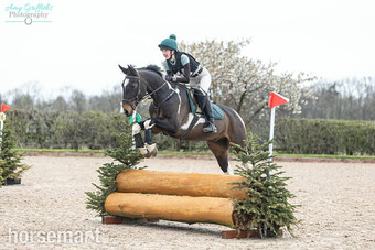 "Aston In De Groove" Skewbald Gelding Riding Club Horse