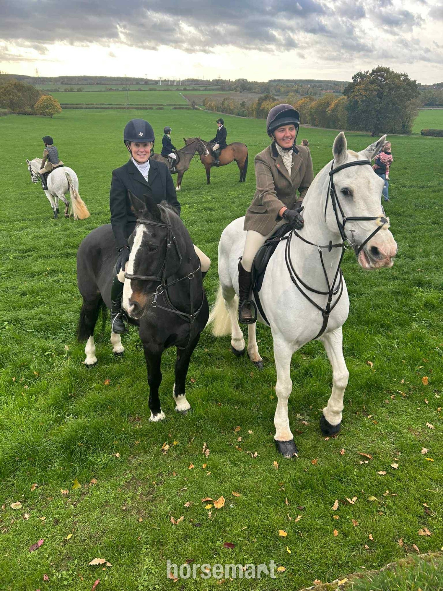"Blue" Blue & White Gelding All Rounder - All Rounders 