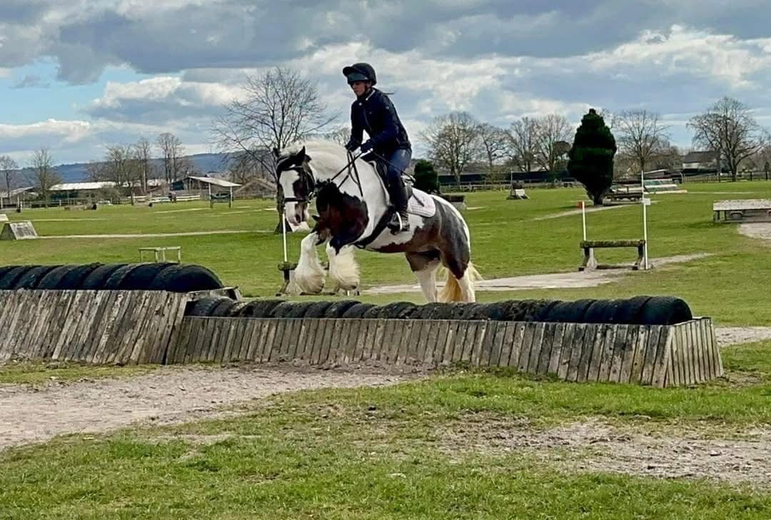 "Ruby " Skewbald Mare All Rounder - All Rounders 