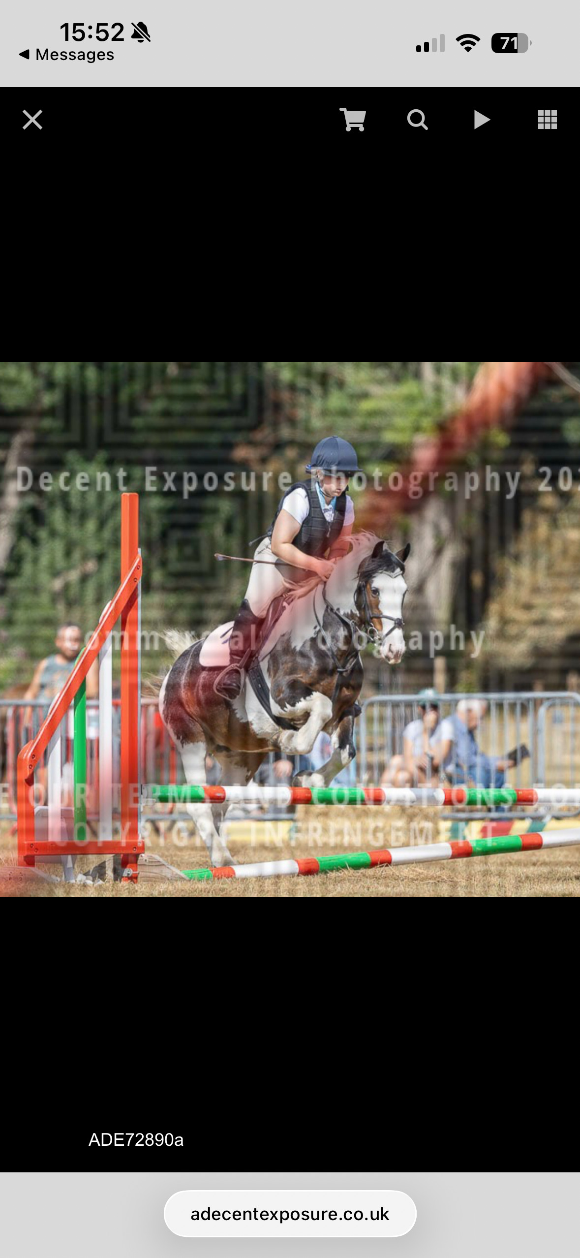 "Ruby " Skewbald Mare All Rounder - 