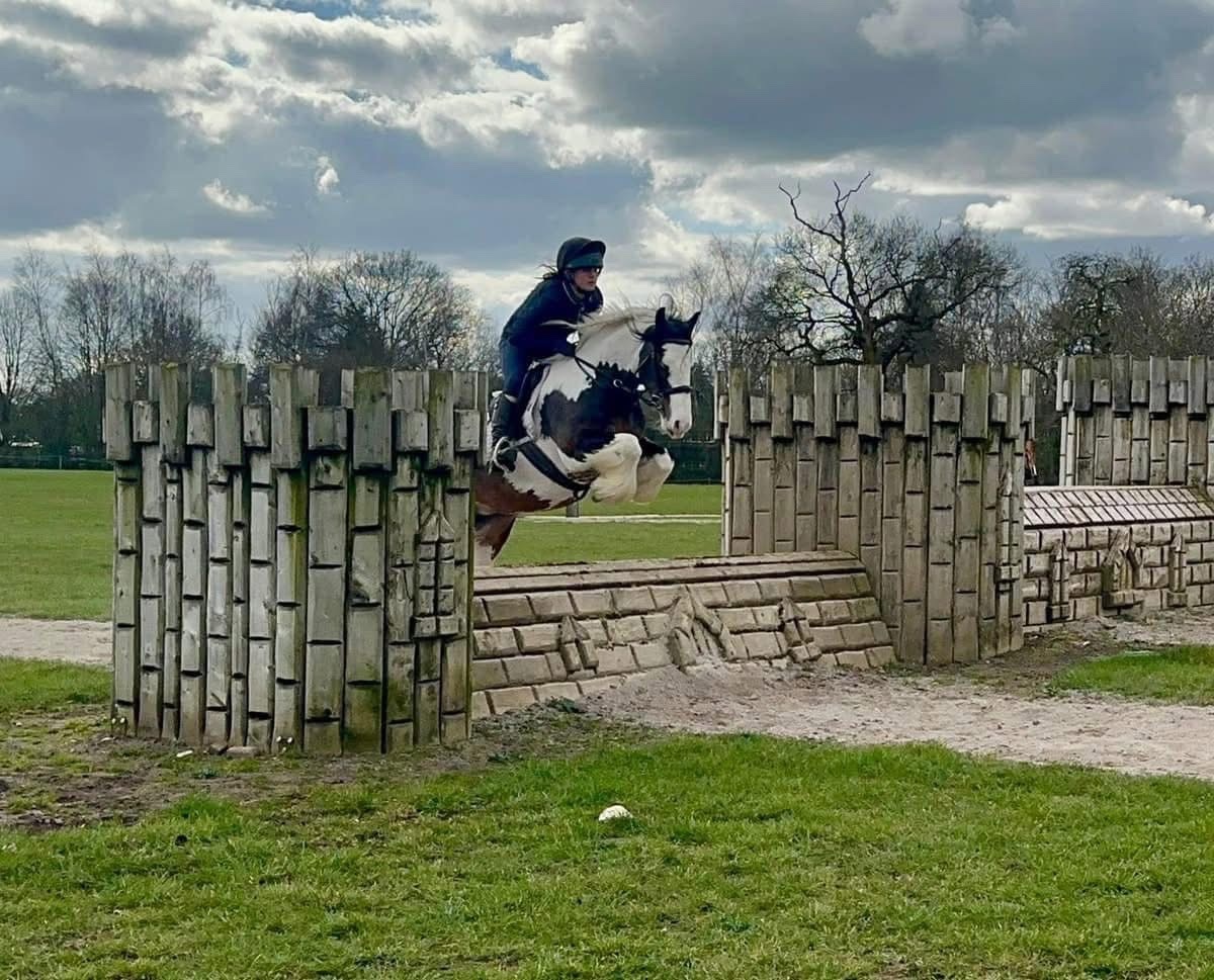 "Ruby " Skewbald Mare All Rounder