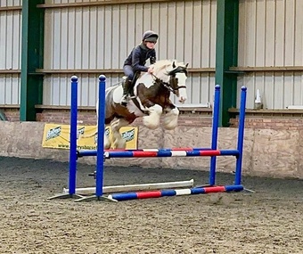 "Ruby " Skewbald Mare All Rounder