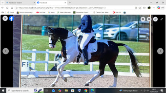 "sempatovski" Coloured Mare Dressage Horse