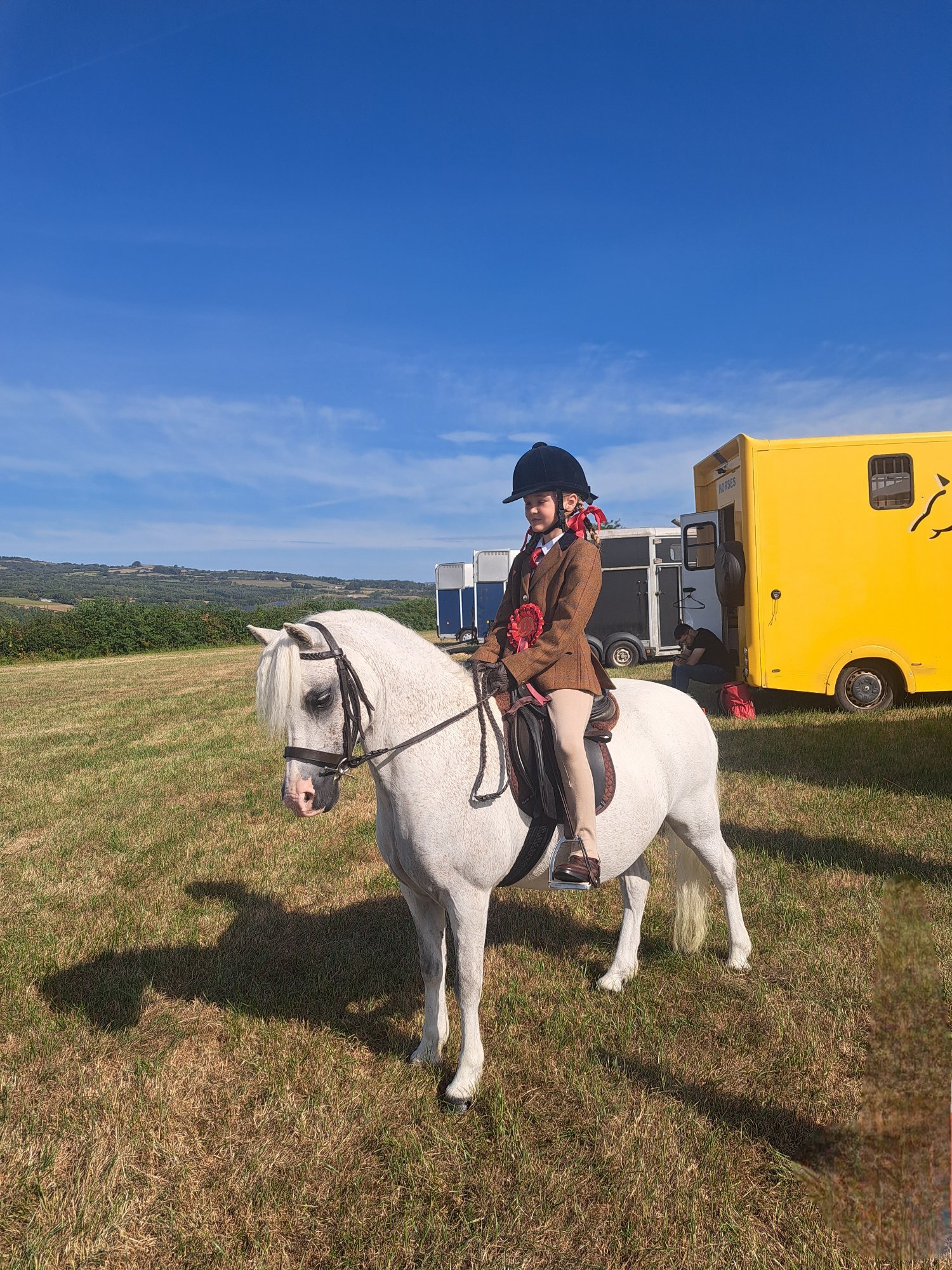  "Maesymor Mc Caw" Grey Gelding Lead Rein/First Ridden Pony