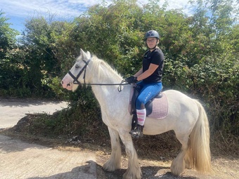 "Womble " Grey Gelding Cob/Heavy Horse
