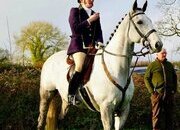"Max" Grey Gelding All Rounder