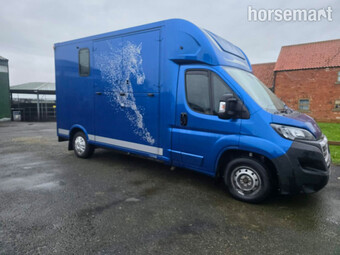 Theault Firsteo Peugeot Horsebox