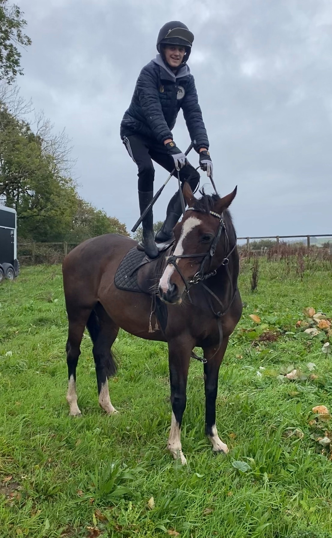 "Mini Monica " Bay Mare All Rounder - 