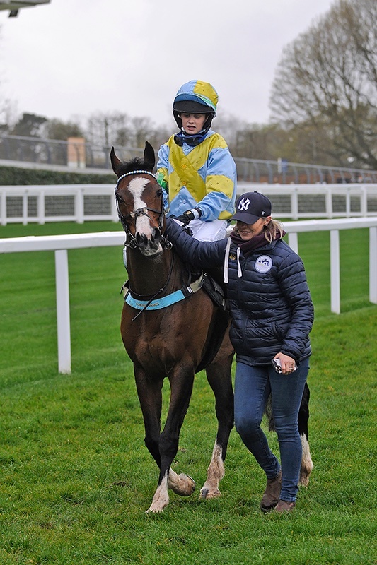 "Mini Monica " Bay Mare All Rounder - All Rounders