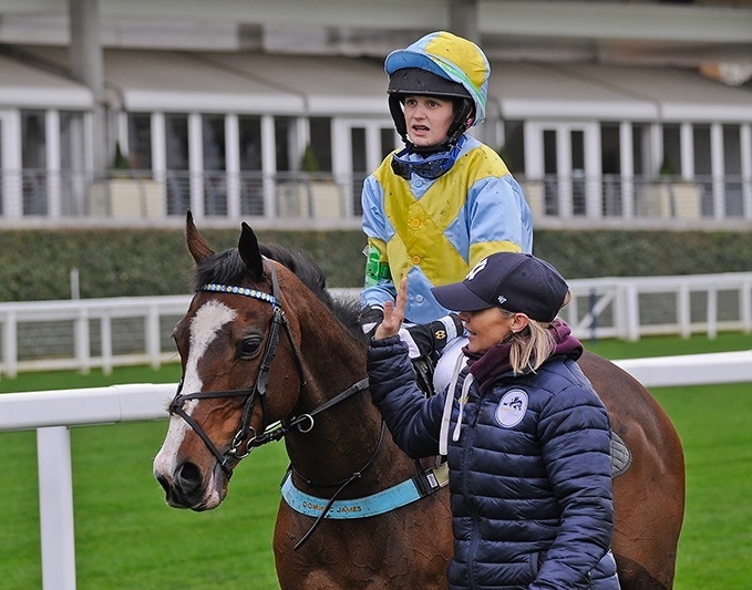 All Rounders - "Mini Monica " Bay Mare All Rounder in 