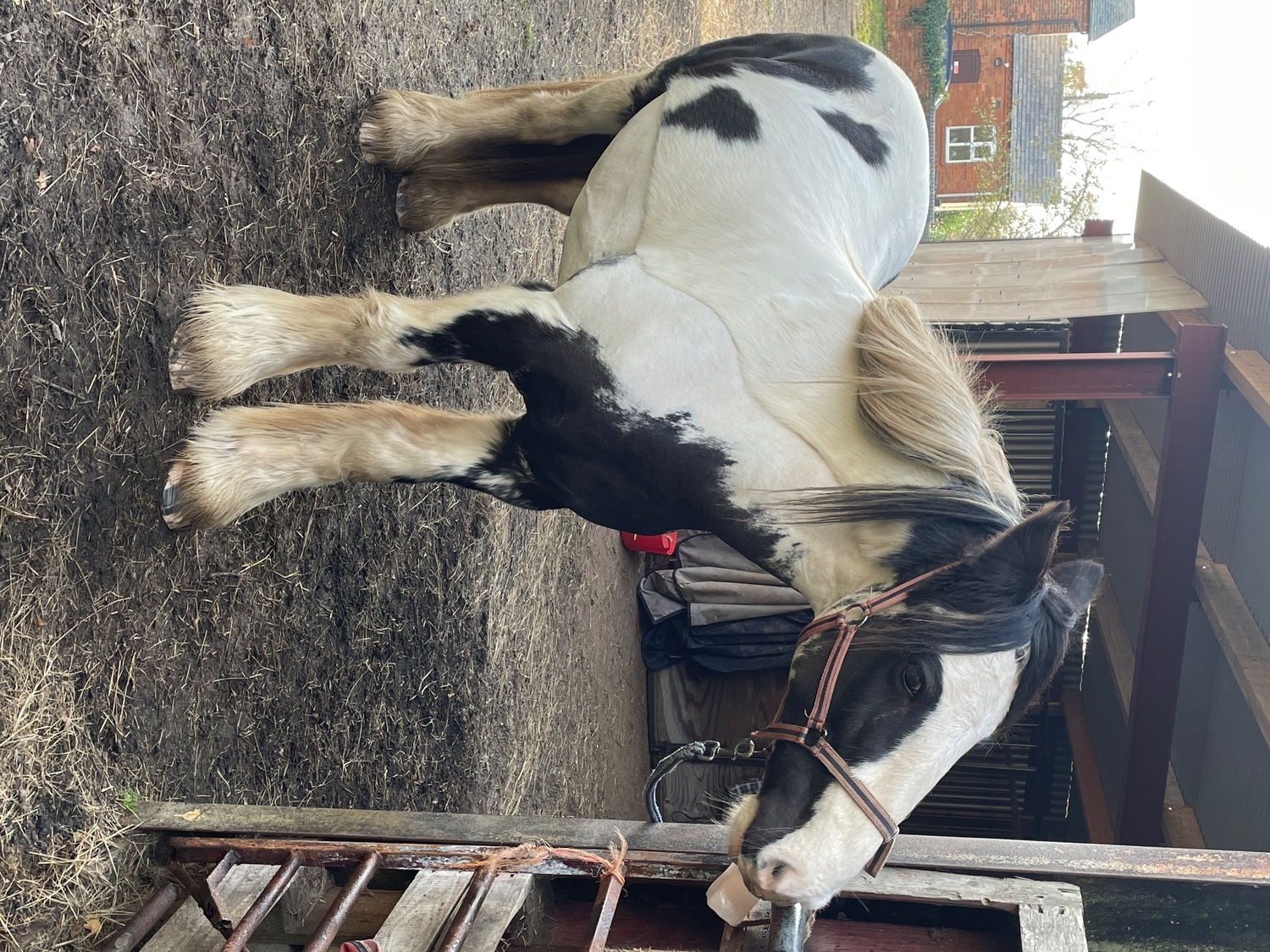 Part or Full Loan- Near Alcester (Warks/Worcs border) - Part Loan / Share in 