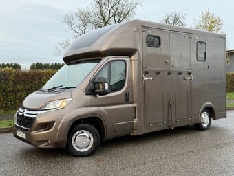 Elite  Citroen Horsebox