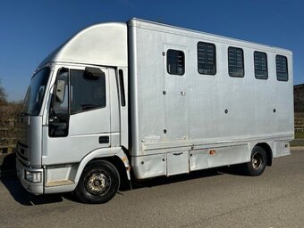 Iveco Professional transport horsebox. Horsebox