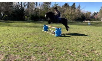 "Fendi" Black Mare All Rounder